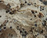 Foto langkah ke 3 dari resep Goodtimes Cookies.