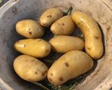 Une image de l'étape 4 de Pommes de terre aux herbes aromatiques du jardin (cuisson au diable).