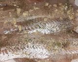 Foto del paso 1 de la receta: Merluza a la plancha con salsa de tomate