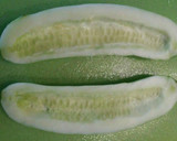 Foto del paso 1 de la receta: Piruletas light de pepinos rellenos