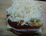 Foto del paso 3 de la receta: Croque Monsieur