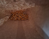 Foto del paso 1 de la receta: Palomitas en microondas cero grasa