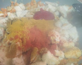 Foto del paso 4 de la receta: Pollo al curry a mi manera
