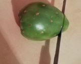 Foto del paso 2 de la receta: Tunas (La fruta ancestral del nopal y su historia en México)