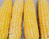 Hình bước làm 1 của món Sữa bắp