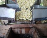 Foto del paso 3 de la receta: Atole de tlacihual