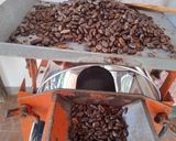 Foto del paso 2 de la receta: Chocolate en molde y polvo caseros (artesanal)