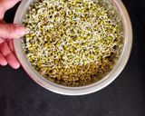प्रोटीन से भरपूर अंकुरित साबुत मूंग सलाद (Sprout whole moong salad Recipe In Hindi) रेसिपी चरण 3 फोटो