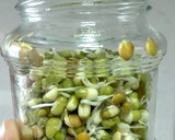 Foto del paso 8 de la receta: Germinados o brotes caseros
