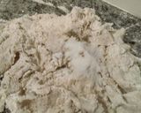 Foto del paso 4 de la receta: Pan especial