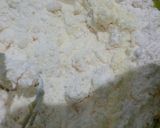 Foto langkah ke 3 dari resep #133 Palm Cheese Cookies.
