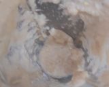 शाही पनीर इन व्हाइट ग्रेवी(shahi paneer in white gravy recipe in hindi) रेसिपी चरण 1 फोटो