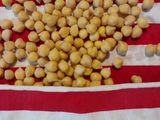 Revithocarroto Soupa (Greek Chickpea Carrot Soup)