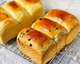 Foto langkah ke 6 dari resep Sokupan (Milk Bread ala Jepang).