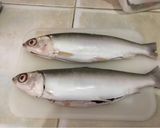 Foto langkah ke 1 dari resep Sup Ikan Bandeng Segar.