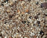 Foto del paso 6 de la receta: Granola casera aromática