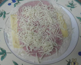 Foto del paso 1 de la receta: ☆Quesadillas de jamón y queso☆