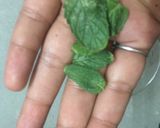 A picture of step 7 of Mint Mosambi Mocktail.