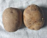Foto langkah ke 2 dari resep Potato Wedges.