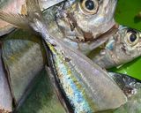 Foto langkah ke 1 dari resep 548. Ikan Rica-rica.