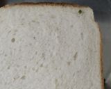 ગ્રીન સેન્ડવીચ (Green Sandwich Recipe In Gujarati) રેસીપી સ્ટેપ2ફોટો