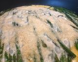 A picture of step 7 of Parmesan and Mozzarella Creamed Asparagus.