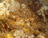 Foto del paso 2 de la receta: Alfajor sin tacc