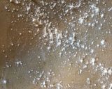 Házi citromos-ricottás Ravioli kakukkfüves vajon recept fázis 4 fotója