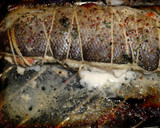 Foto del paso 8 de la receta: Lubina rellena de langostinos y piña