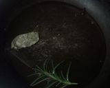Foto del paso 15 de la receta: Taco a la Fidelo