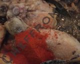 A picture of step 5 of Chicken Qorma.