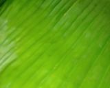 A picture of step 4 of Banana leaf idli /moode /kadabu.