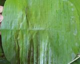 Foto langkah ke 7 dari resep Lapek Koci / Sikoci.