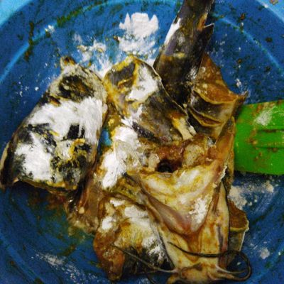 Langkah 2