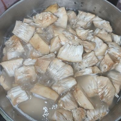 Langkah 1