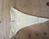 Foto del paso 10 de la receta: Masa danesa y formas