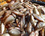 A picture of step 1 of পুঠি মাছ চুঙাত দিয়া /Swam barb fish cooked in Bamboo tubes.