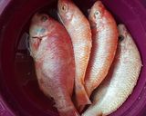 Foto langkah ke 1 dari resep Ikan Nila Garing + Sambal.