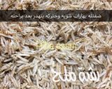 صورة لخطوة 7 من وصفة برياني لحم على طريقتي