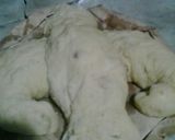 Foto del paso 8 de la receta: Colomba de Pascua (Confitura italiana en forma de Paloma)