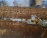 Foto del paso 10 de la receta: Tiramisú sin licor y sin huevo