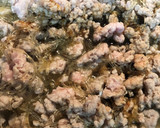生酮版螞蟻上樹的食譜步驟6照片