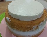 Foto langkah ke 7 dari resep Apricot Cheese Cake (Christmas Cake Theme).