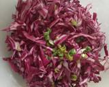 Purple Cabbage Raita recipe step 1 photo