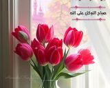 صورة لخطوة 16 من وصفة حلى جوز الهند والكاكاو بنكهة الباونتي بمكونات بسيطة وطعم رووووعة