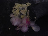 Bihun Goreng