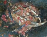 Foto langkah ke 3 dari resep Pindang Bumbu Bali.