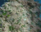Φωτογραφία βήματος 4 της συνταγής Ταραμοκεφτέδες