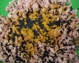 Foto del paso 2 de la receta: Hamburguesas de atún