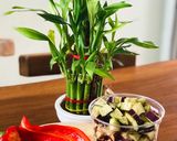 Foto langkah ke 1 dari resep Grilled Capsicum with Chicken Mince.